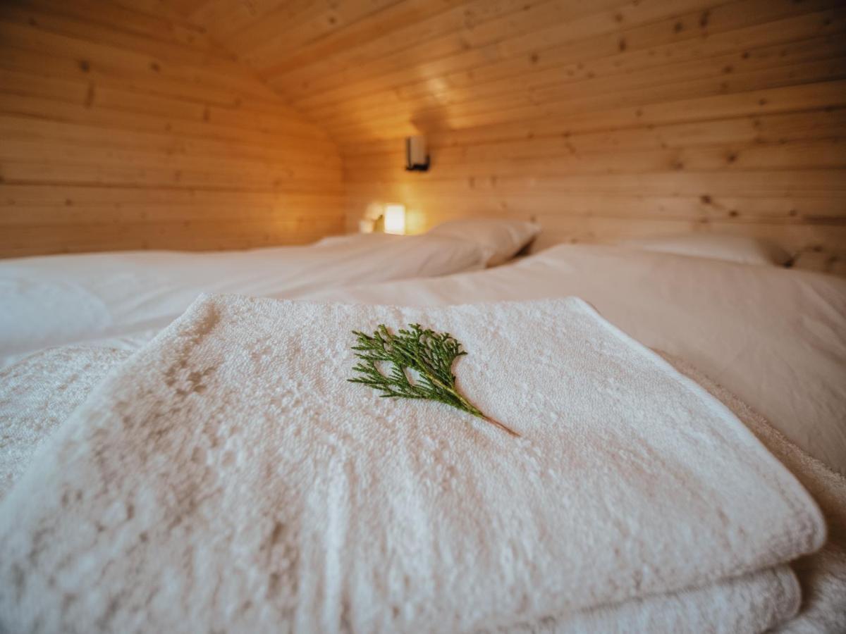 River Residence Chalet Statiunea Climaterica Sambata Zewnętrze zdjęcie