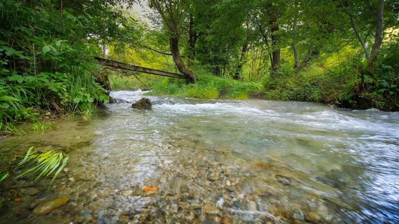 River Residence Chalet Statiunea Climaterica Sambata Zewnętrze zdjęcie