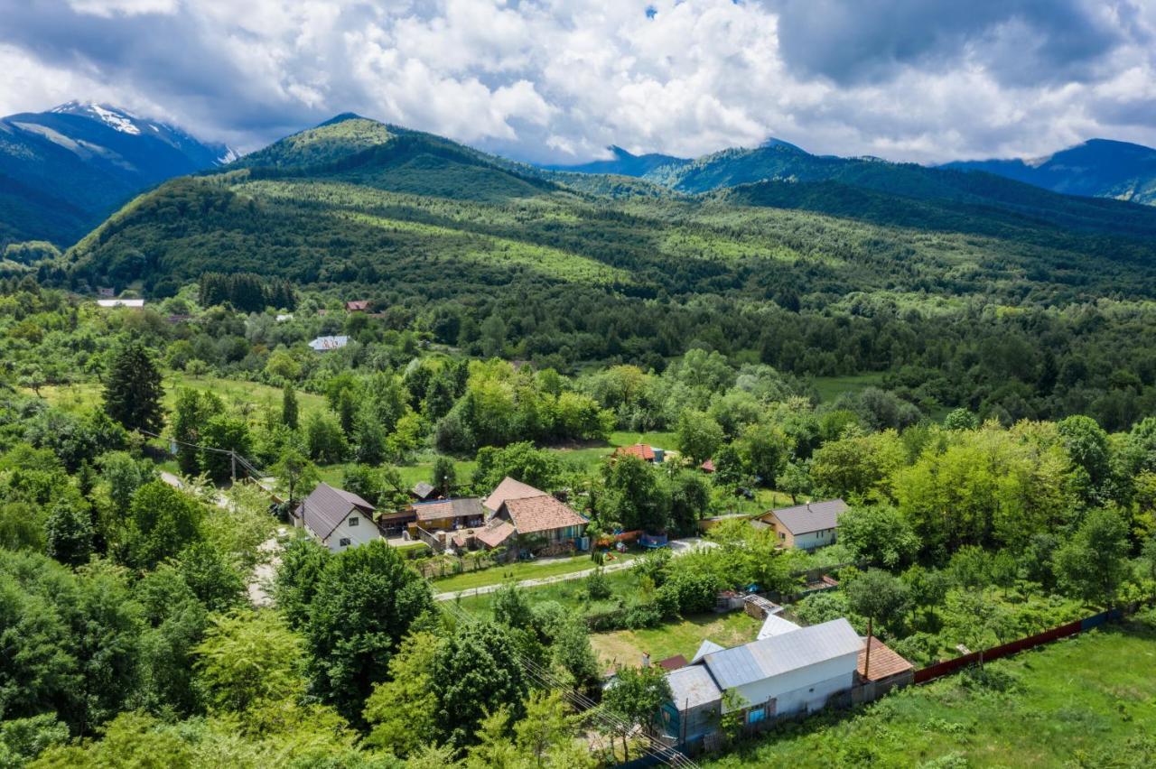 River Residence Chalet Statiunea Climaterica Sambata Zewnętrze zdjęcie