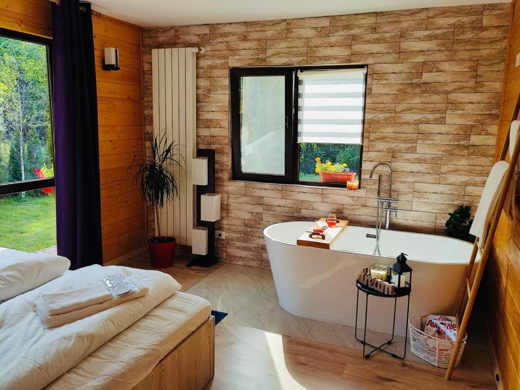 River Residence Chalet Statiunea Climaterica Sambata Zewnętrze zdjęcie