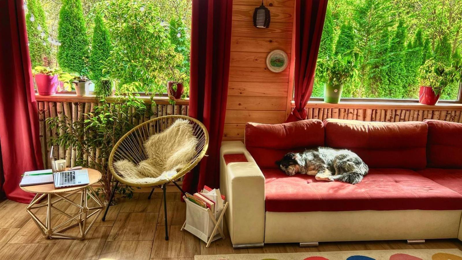 River Residence Chalet Statiunea Climaterica Sambata Zewnętrze zdjęcie